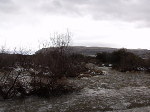 Rushing water in the desert